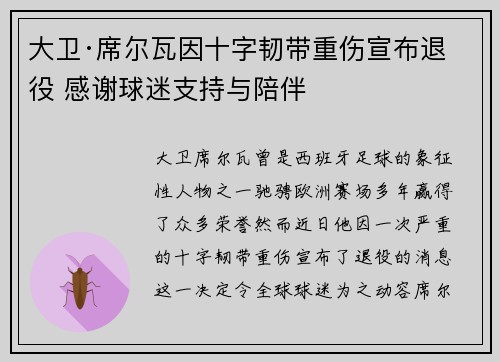 大卫·席尔瓦因十字韧带重伤宣布退役 感谢球迷支持与陪伴