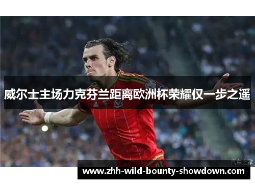 威尔士主场力克芬兰距离欧洲杯荣耀仅一步之遥