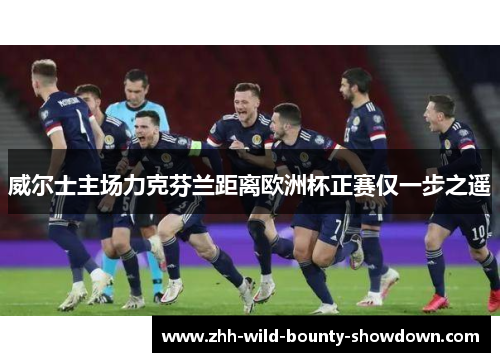 威尔士主场力克芬兰距离欧洲杯正赛仅一步之遥