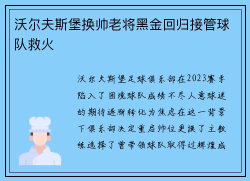 沃尔夫斯堡换帅老将黑金回归接管球队救火